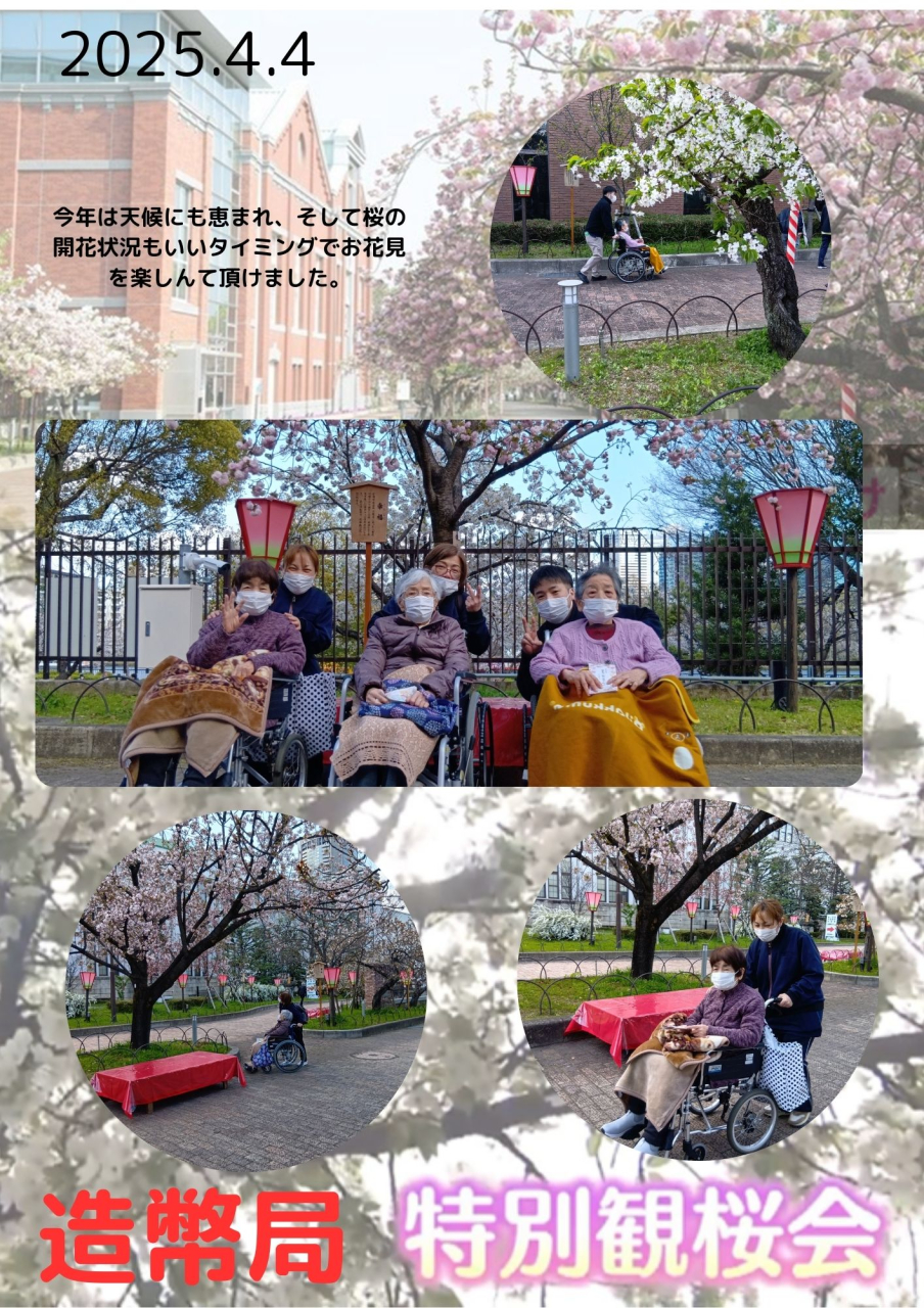 造幣局の桜の通り抜け